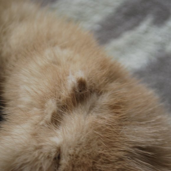 Schlampp's Two Tone Beige Mink & Leather Coat - Picture 5 of 14